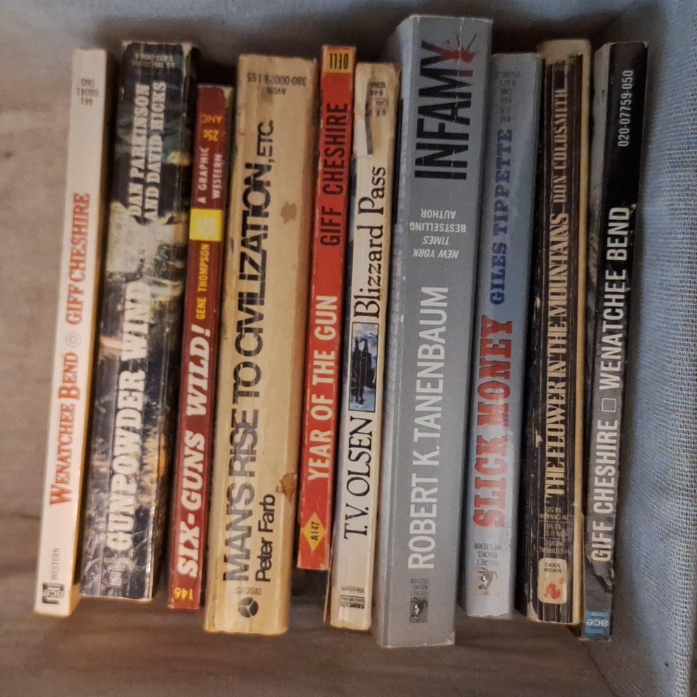 Vintage Western Paperback Books - Mixed Titles-Bundle #4. 10 Books